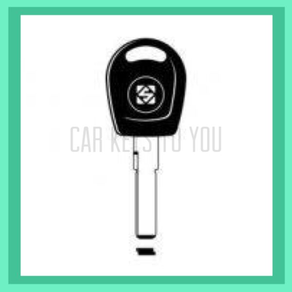 VOLKSWAGEN AND AUDI SURF KEY