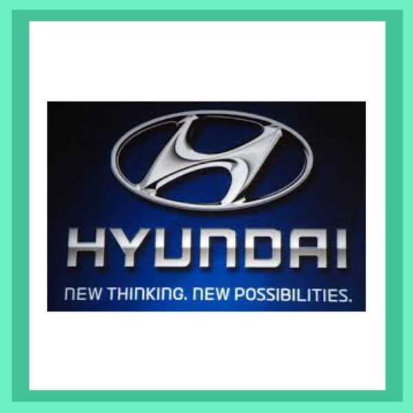 Hyundai iLoad Car Key and Remote Suit, 2008-2014