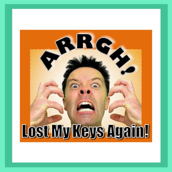 Mobile Onsite Key Cutting, Coding and Remote Programming             From