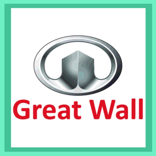 Great Wall V240 K2 Car Key and Remote, 2009-2011